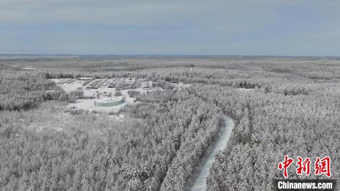 雪后的树林形成了一幅幅“大雪压青松，青松挺且直”的美景。　王婷 摄