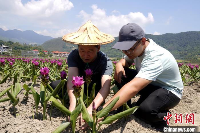 驻村书记周学军正介绍姜荷花。　长泰区融媒体中心供图