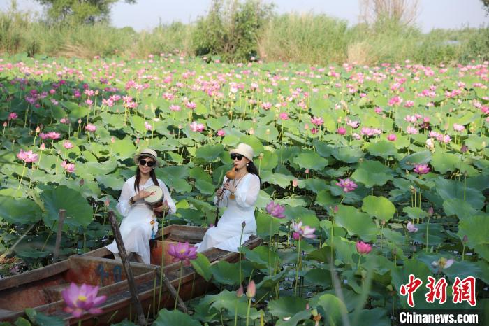 图为游客在衡水湖荷花丛中奏起乐器自娱自乐。　王铁良 摄