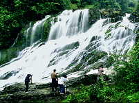 大岗山“绿色氧吧”