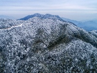 大岗山绝美雪景大片，爱了~