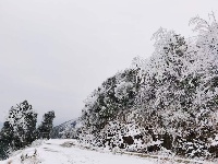 大岗山绝美雪景大片，爱了~