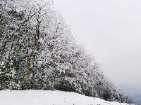 大岗山绝美雪景大片，爱了~