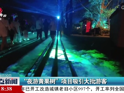 “夜游黄果树”项目吸引大批游客