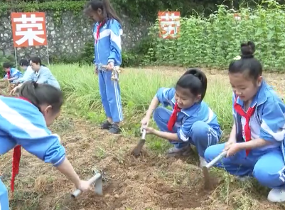 分宜一小：大手牵小手 一起“趣”劳动