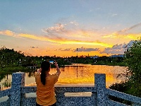 湿地夕阳醉晚霞