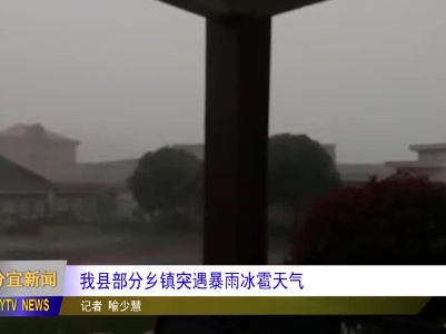 20240402我县部分乡镇突遇暴雨冰雹天气