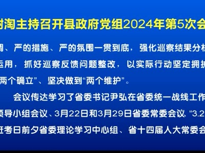 20240409 谢淘主持召开县政府党组2024年第5次会议